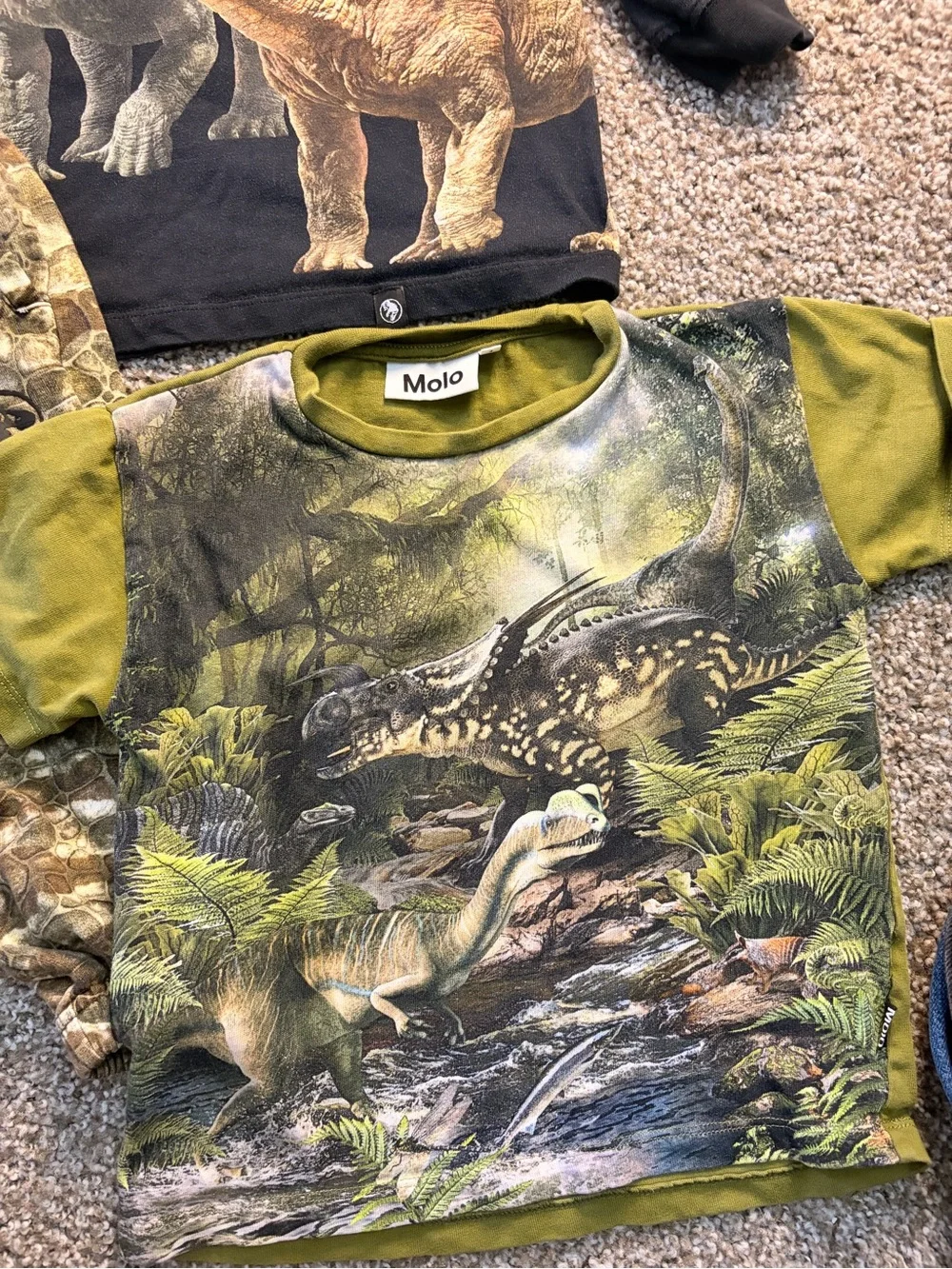 Molo Jurassic Park Bundle